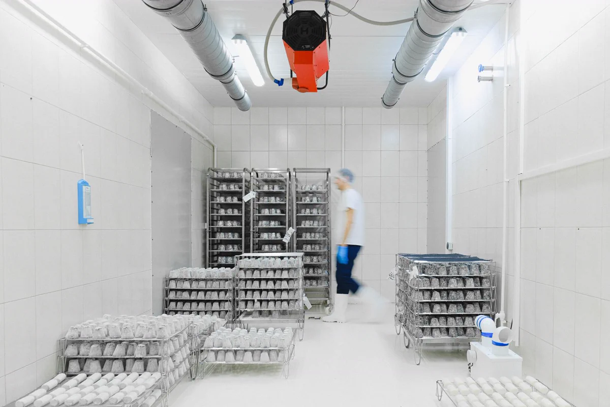 Cámara de frío con sistema de refrigeración y ductería